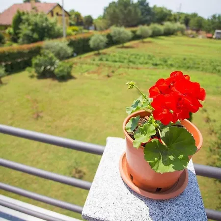 Apartment Milena *